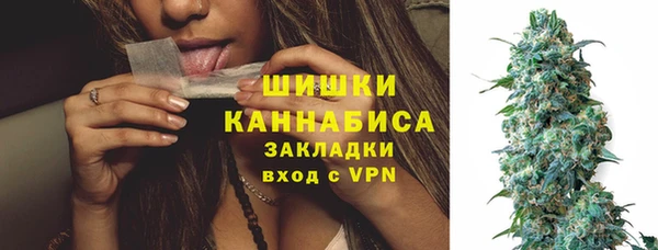 стафф Богородицк
