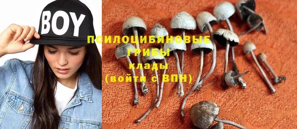 стафф Богородицк