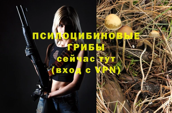 мескалин Богородск