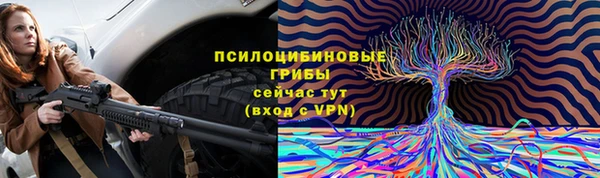 мескалин Богданович